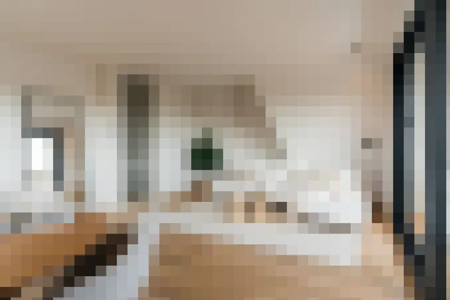 Wassenaarseweg 2 f Den Haag thumbnail 8