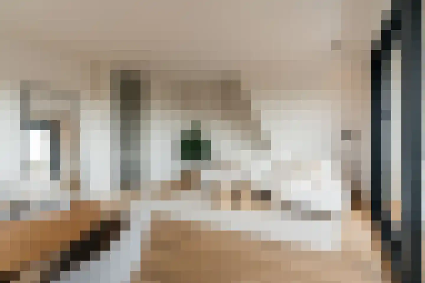 Wassenaarseweg 2 f Den Haag thumbnail 8