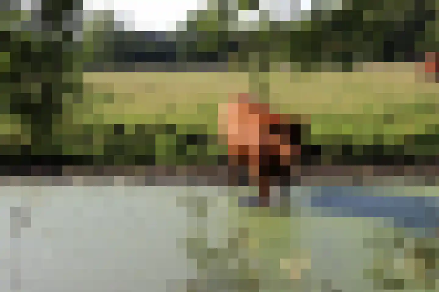 Wassenaarseweg 231 Den Haag thumbnail 47