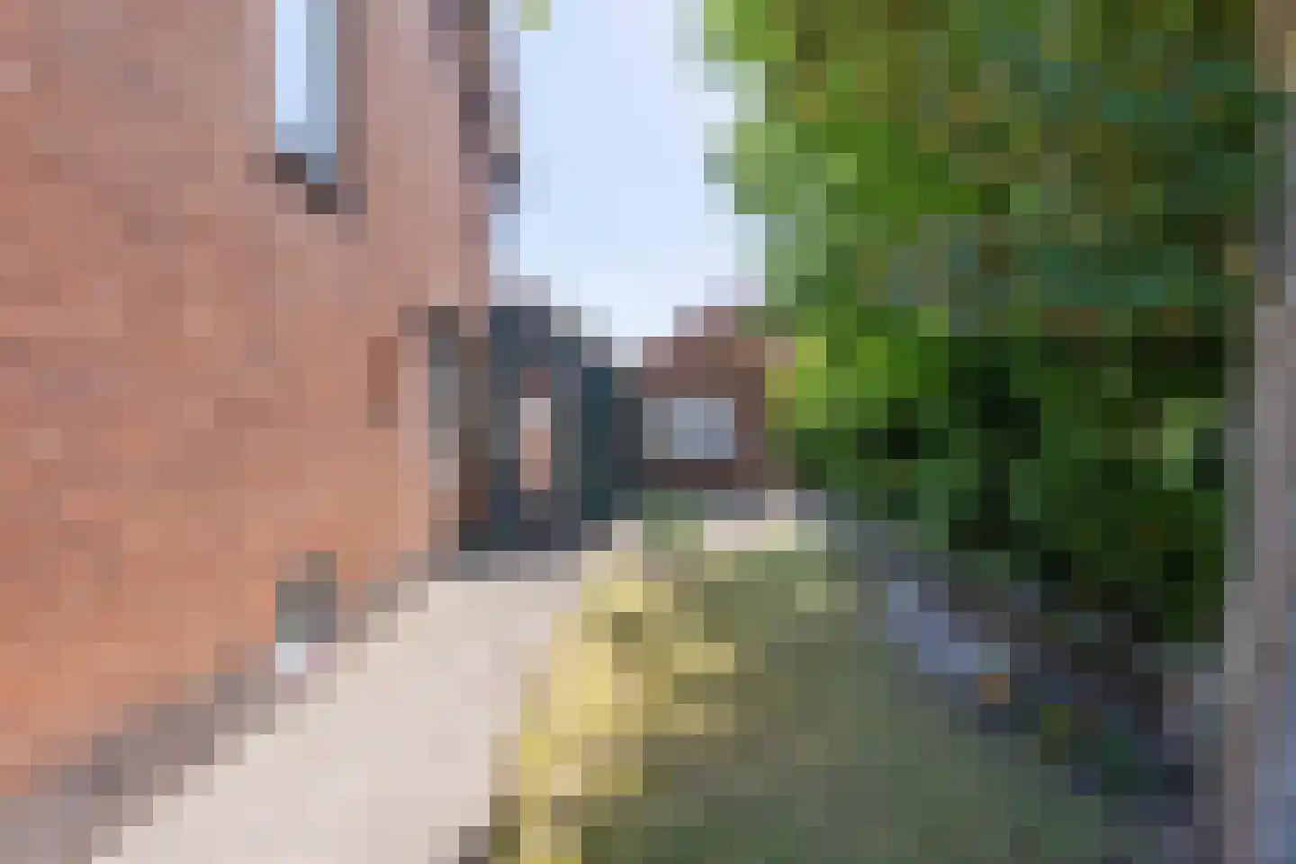Wassenaarseweg 4 De Zilk thumbnail 10