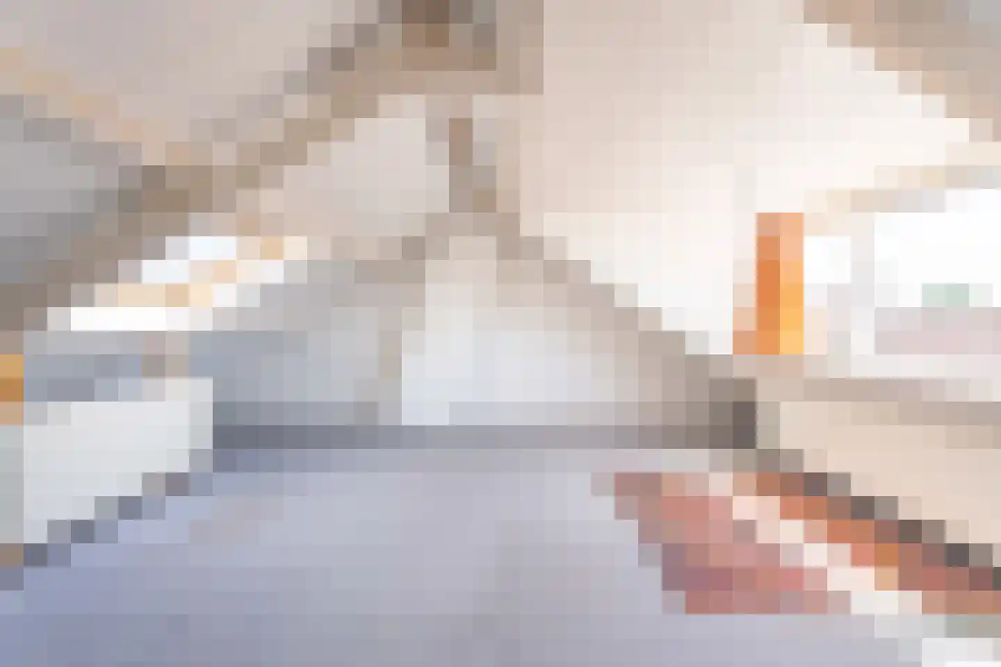 Wassenaarseweg 4 De Zilk thumbnail 32