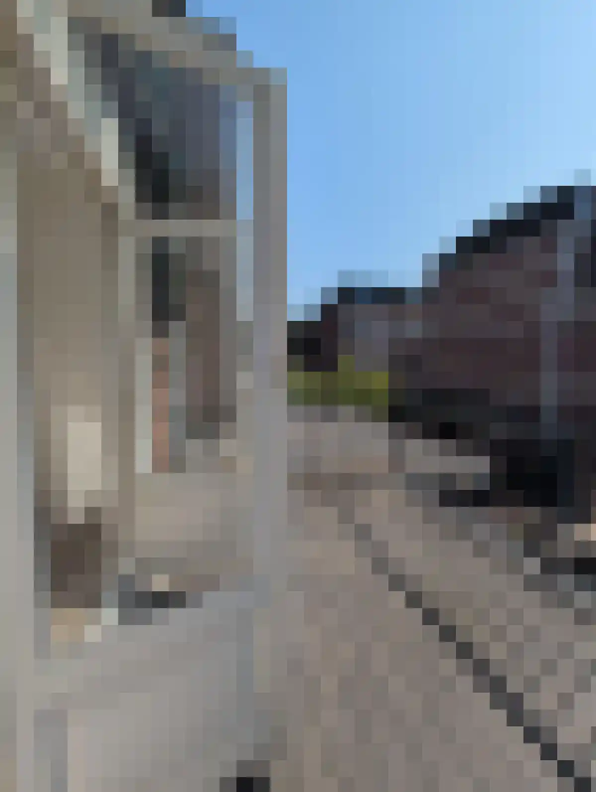 Wassenaarseweg 5 Den Haag thumbnail 5