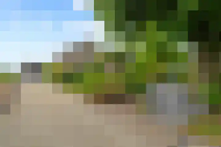 Wassenaarseweg 75 C Katwijk thumbnail 4