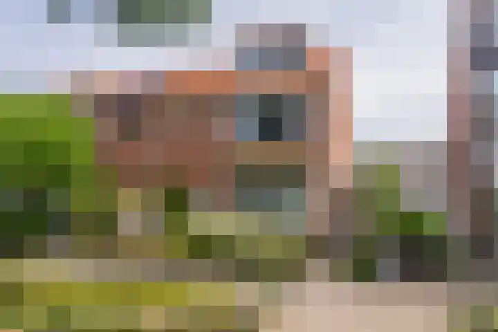 Wassenaarstraat 12 in Monster