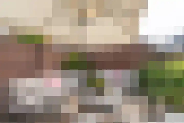 Wassenaarstraat 12 Monster thumbnail 22
