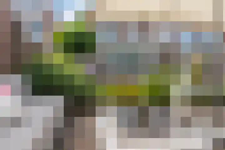 Wassenaarstraat 12 Monster thumbnail 4