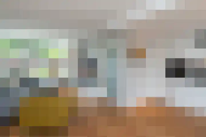 Wassenaarstraat 12 Monster thumbnail 8