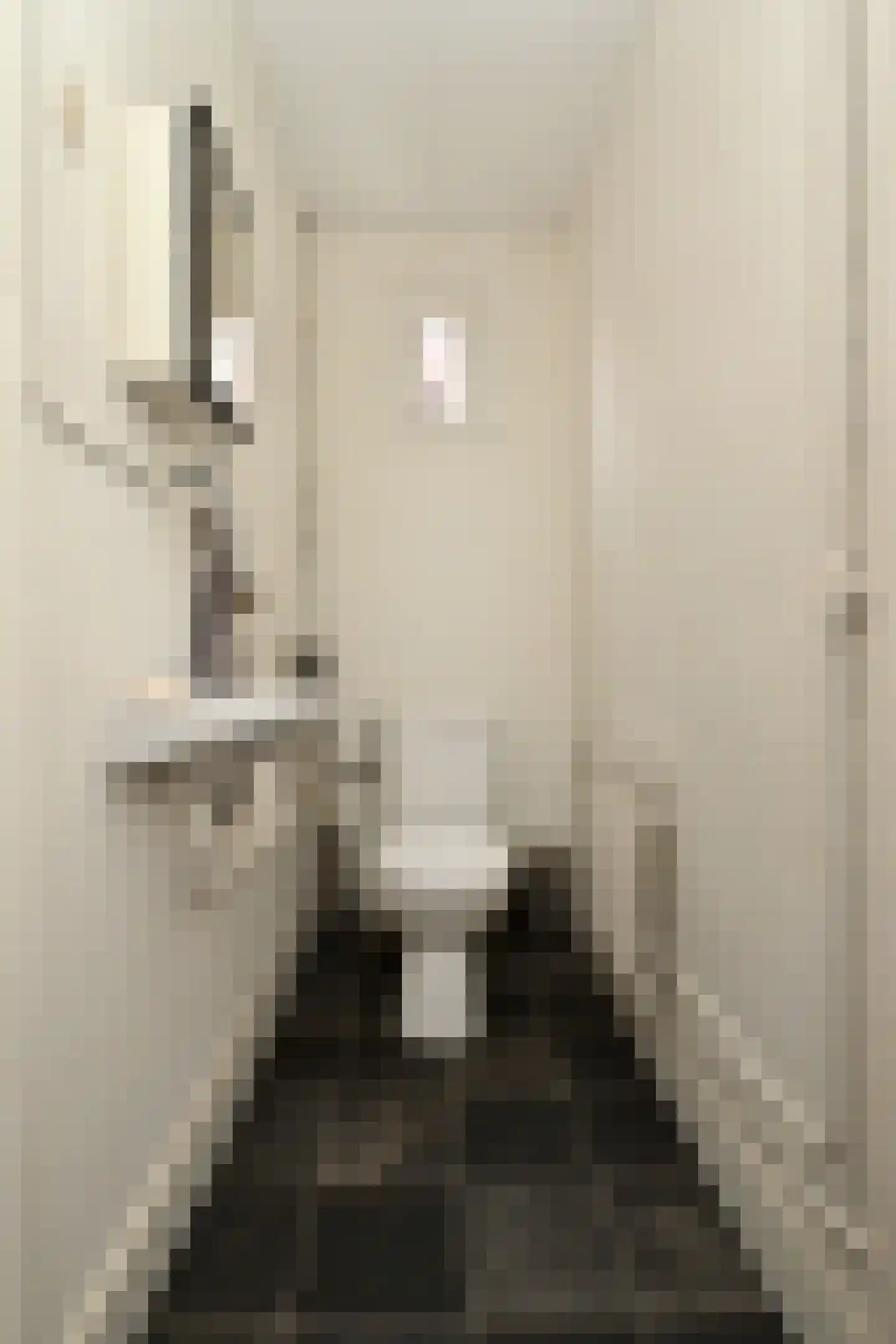 Wassenaarstraat 13 Bergen op Zoom thumbnail 32
