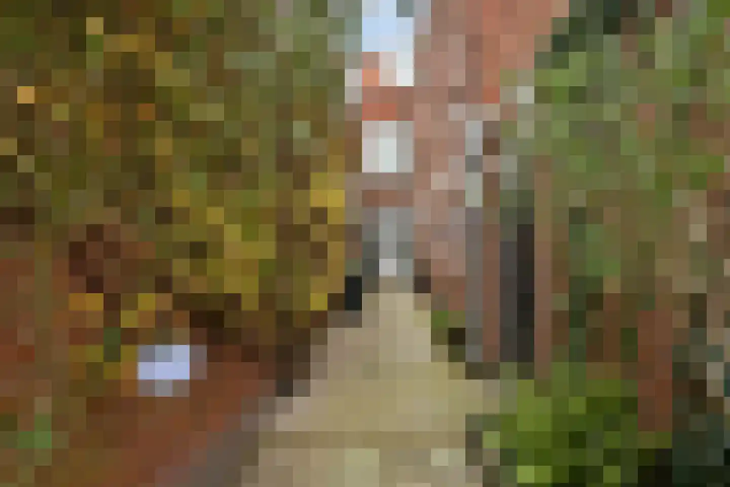 Wassenaarstraat 13 Bergen op Zoom thumbnail 4