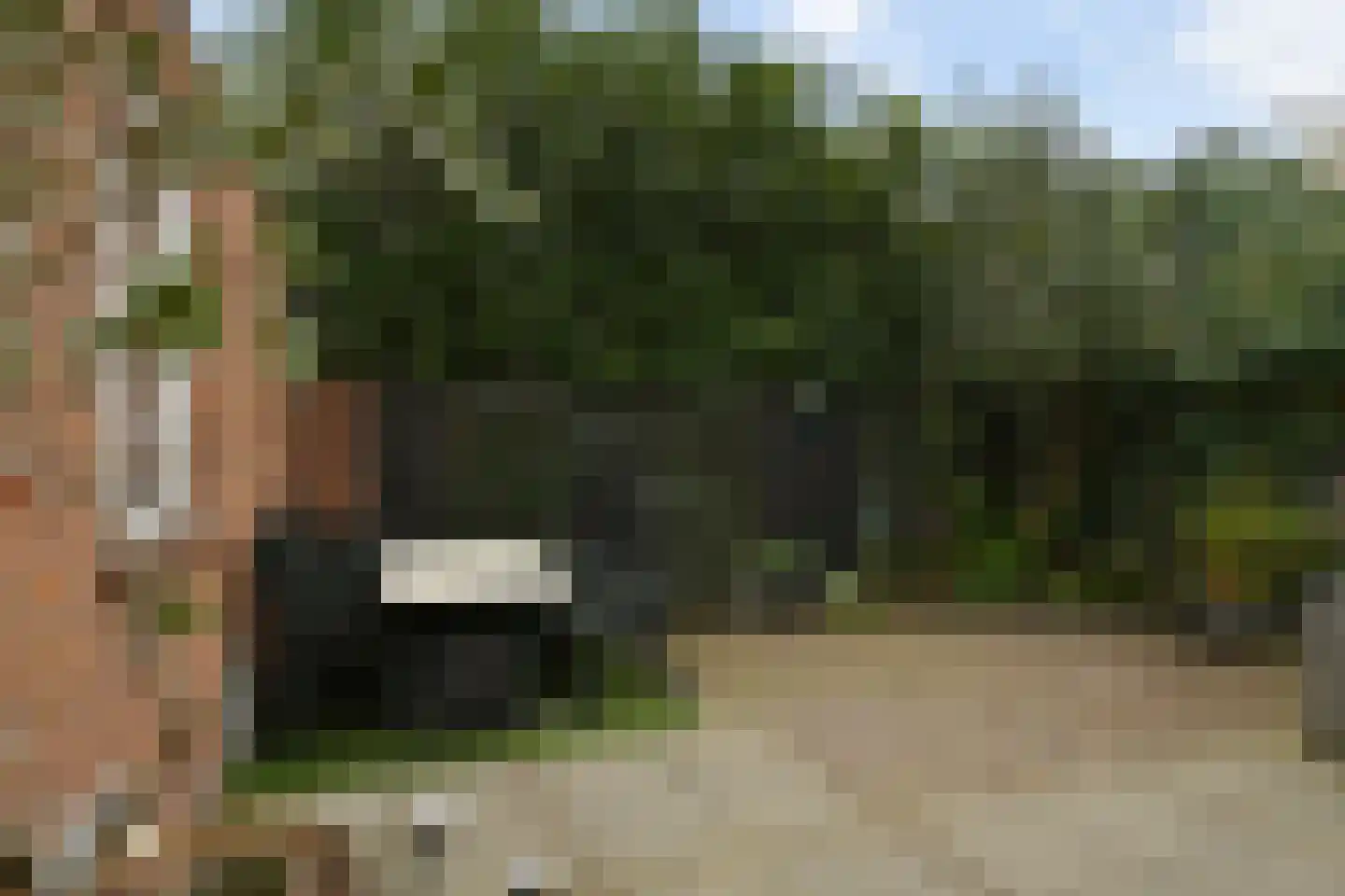 Wassenaarstraat 13 Bergen op Zoom thumbnail 5