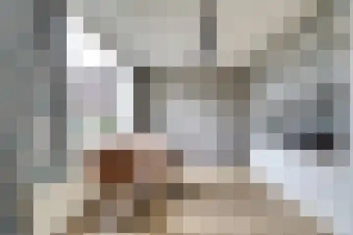 Wassenaarstraat 16 Monster thumbnail 7