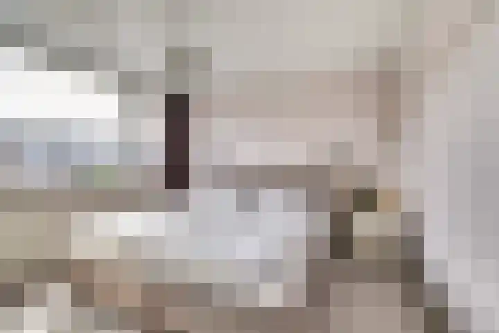Wassenaarstraat 16 Monster thumbnail 9