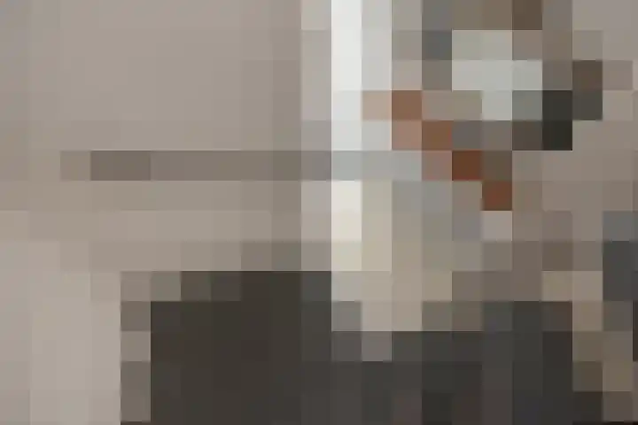 Wassenaarstraat 22 Monster thumbnail 17