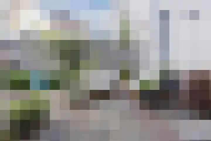 Wassenaarstraat 41 Bergen op Zoom thumbnail 29