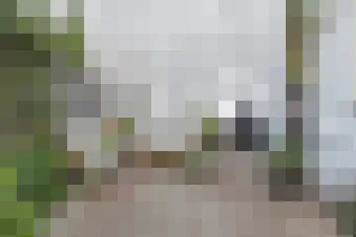 Wassenaarstraat 41 Bergen op Zoom thumbnail 30