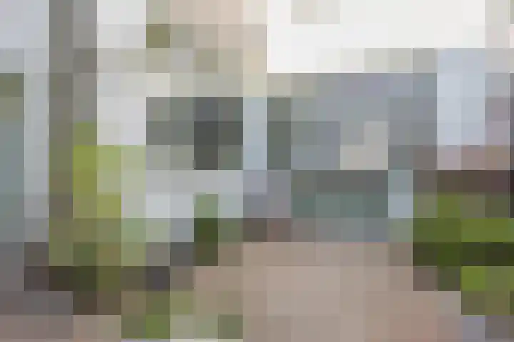 Wassenaarstraat 41 Bergen op Zoom thumbnail 31