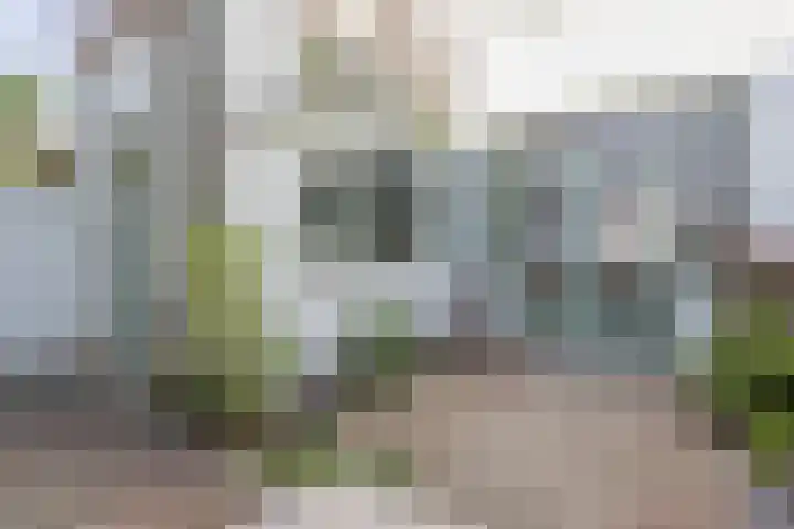 Wassenaarstraat 41 Bergen op Zoom thumbnail 32