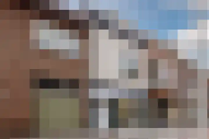Wassenaarstraat 44 a Bergen op Zoom thumbnail 9