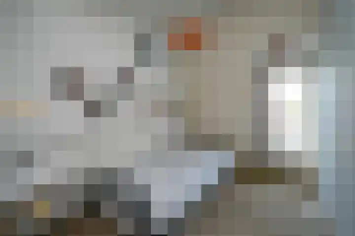 Wassenaer van Obdamstraat 4 Maassluis thumbnail 28