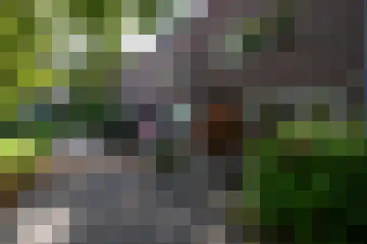 Wassenaer van Obdamstraat 4 Maassluis thumbnail 36