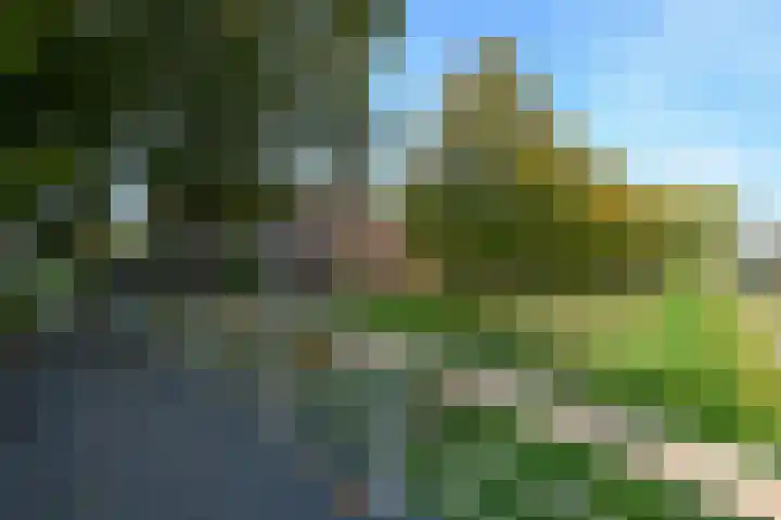 Wassenaer van Obdamstraat 4 Maassluis thumbnail 38