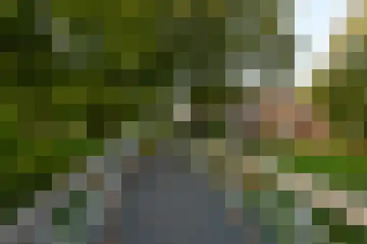 Wassenaer van Obdamstraat 4 Maassluis thumbnail 39