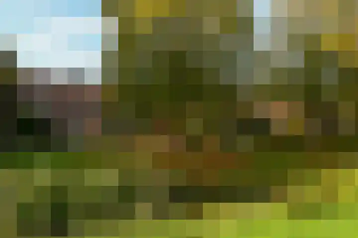 Wassenaer van Obdamstraat 4 Maassluis thumbnail 4
