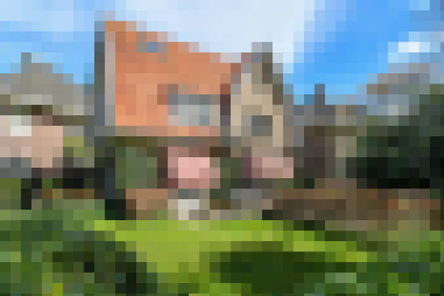 Wassenaerlaan 11 Velp