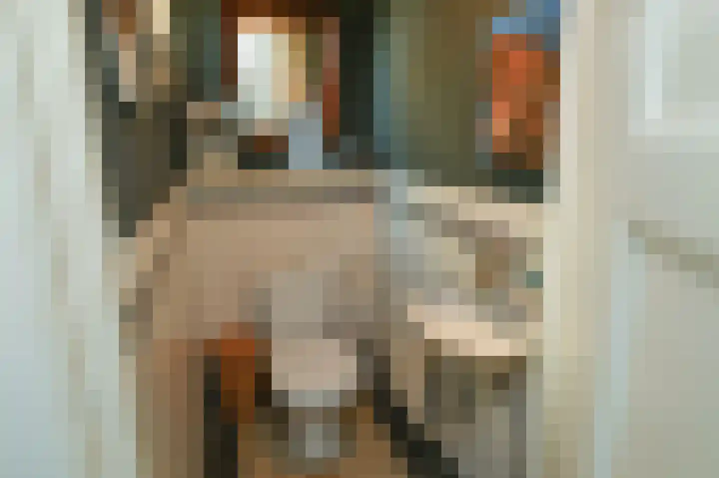 Wassenaerlaan 11 Velp thumbnail 19