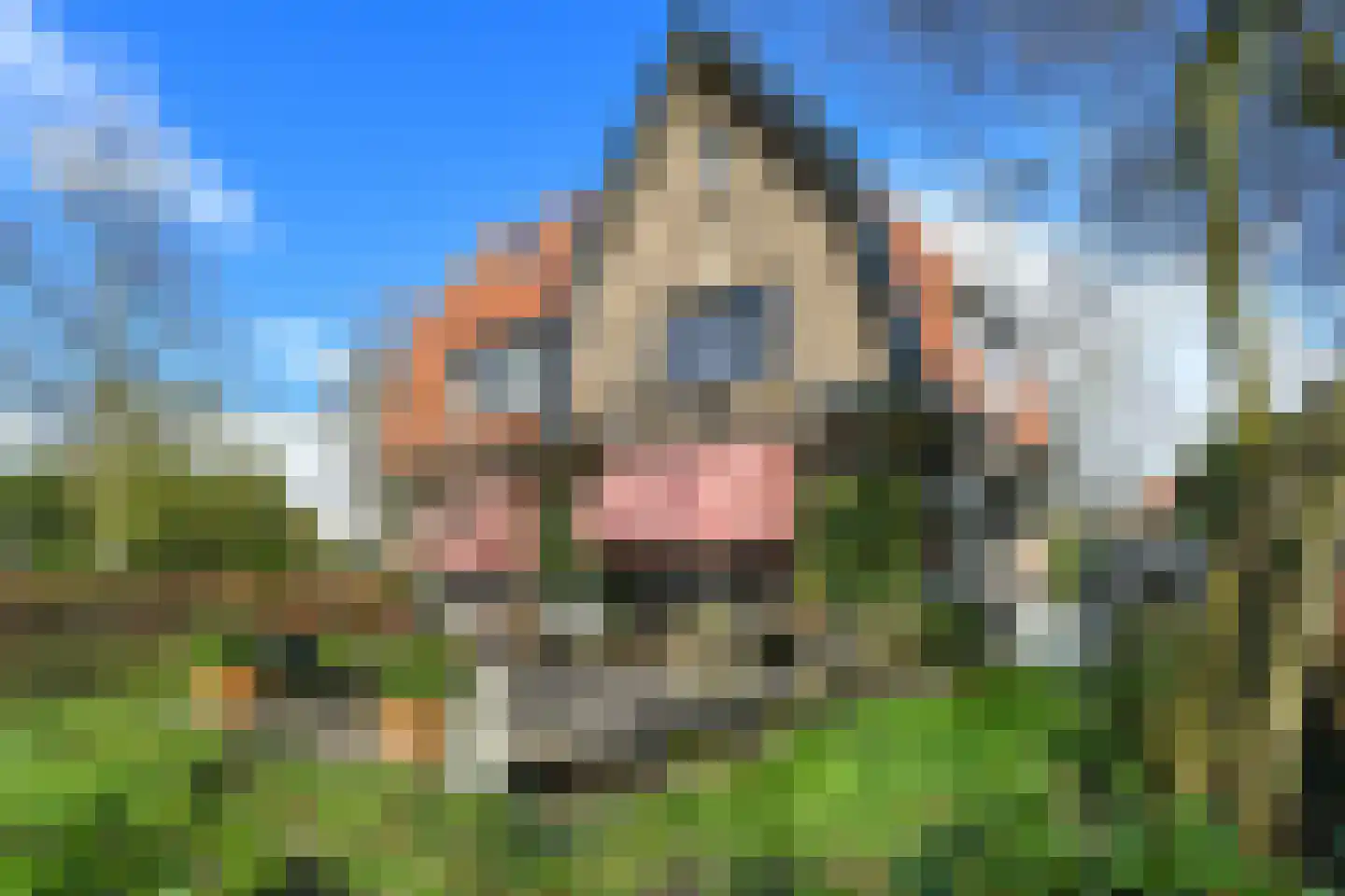 Wassenaerlaan 11 Velp thumbnail 31