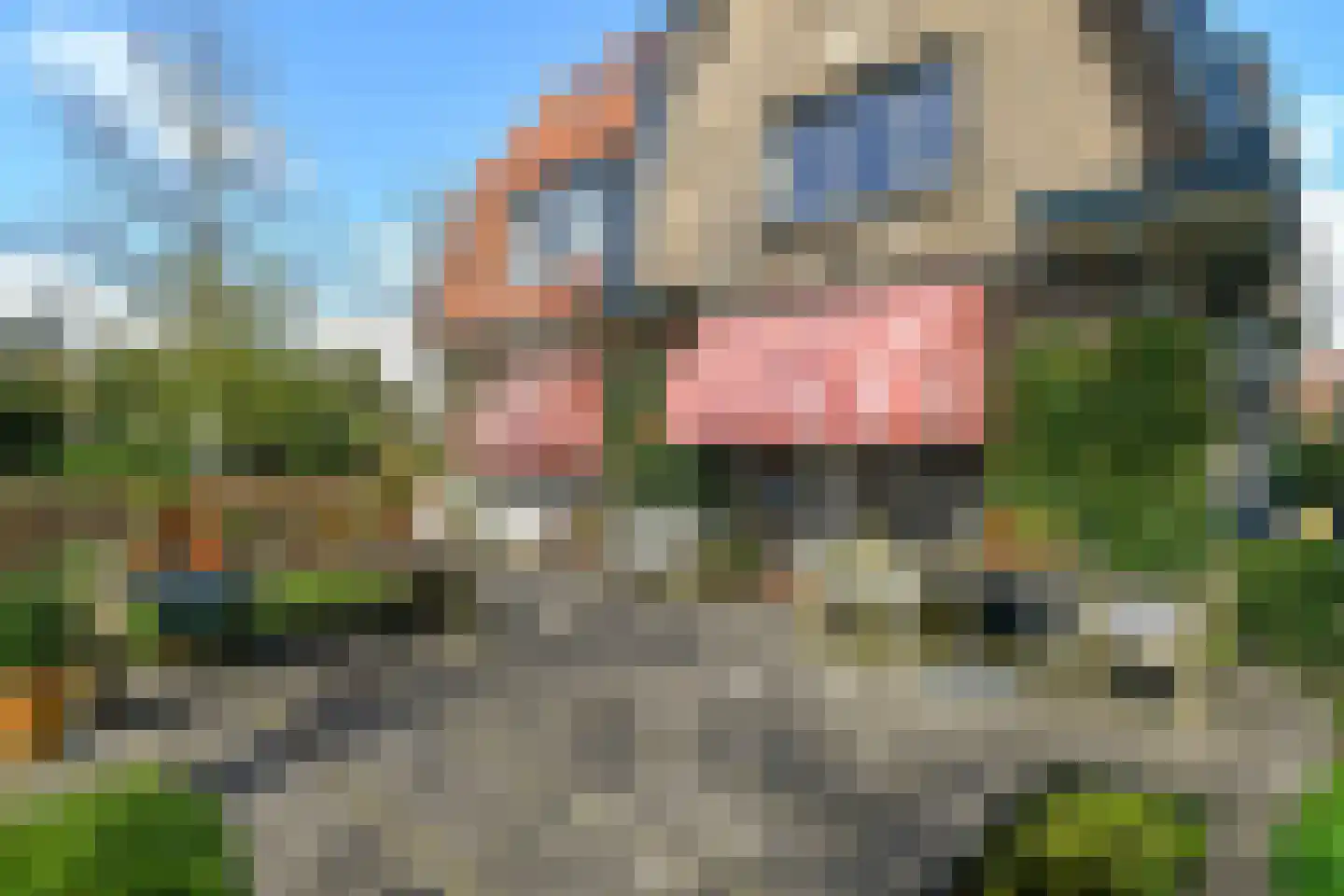 Wassenaerlaan 11 Velp thumbnail 32