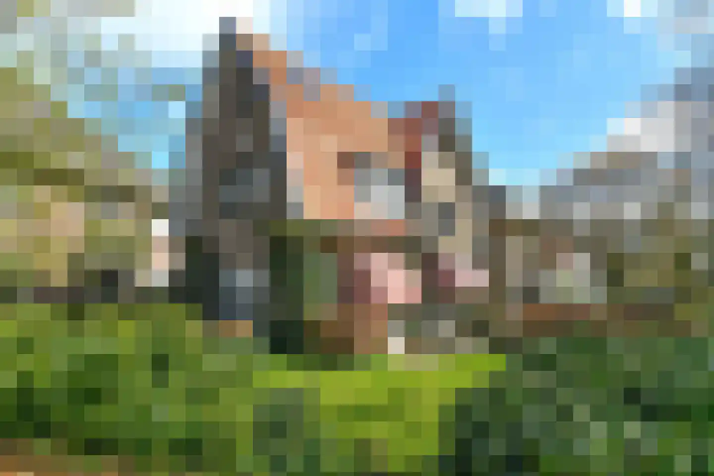 Wassenaerlaan 11 Velp thumbnail 38