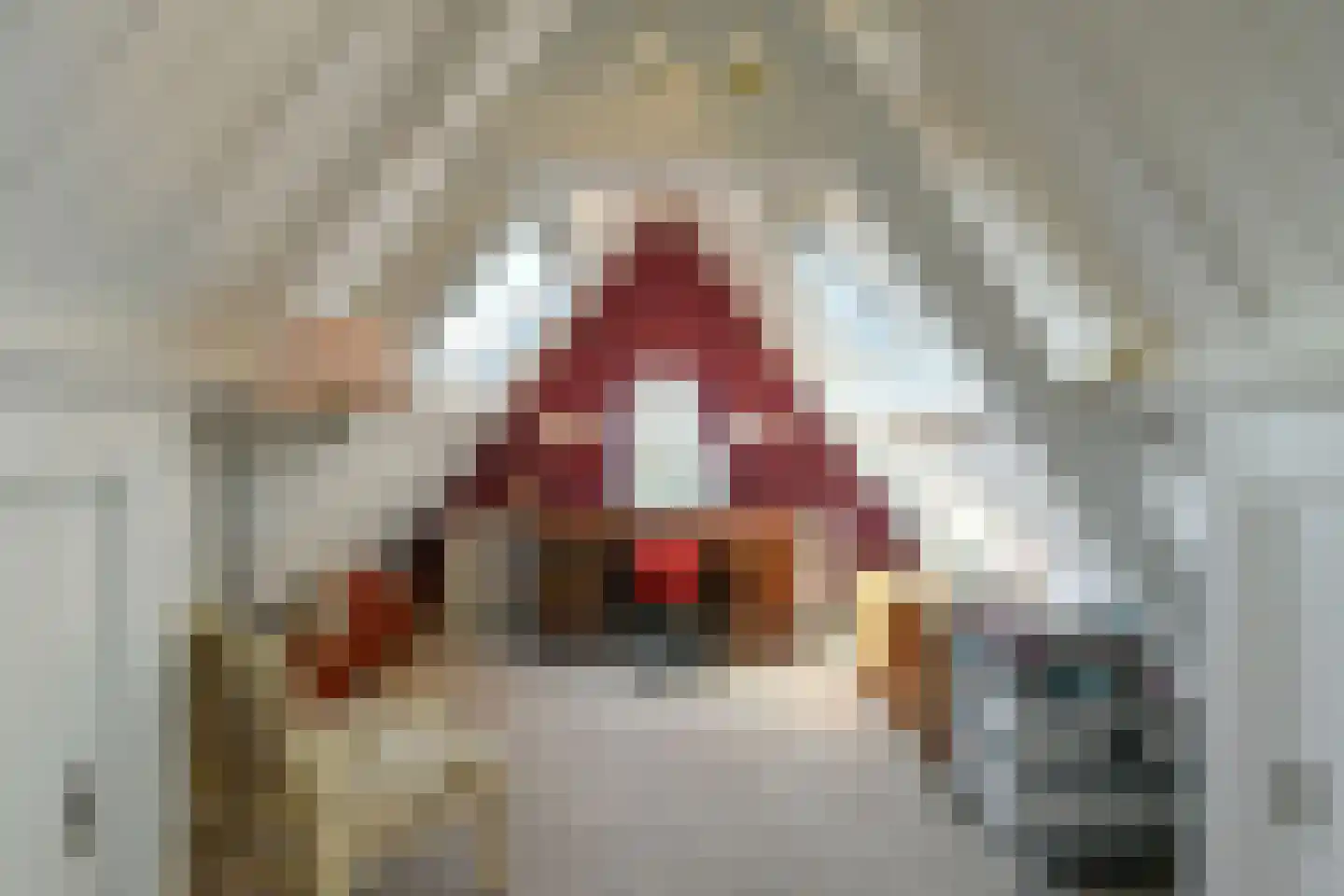 Wassenaerlaan 11 Velp (GE) thumbnail 25