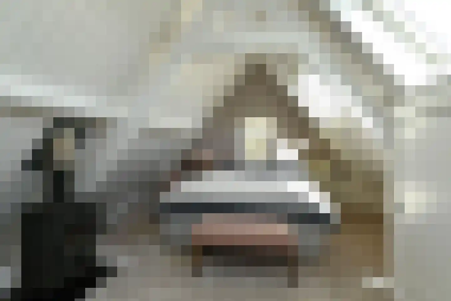 Wassenaerlaan 11 Velp (GE) thumbnail 26