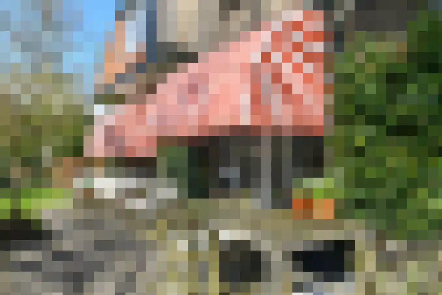 Wassenaerlaan 11 Velp (GE) thumbnail 30