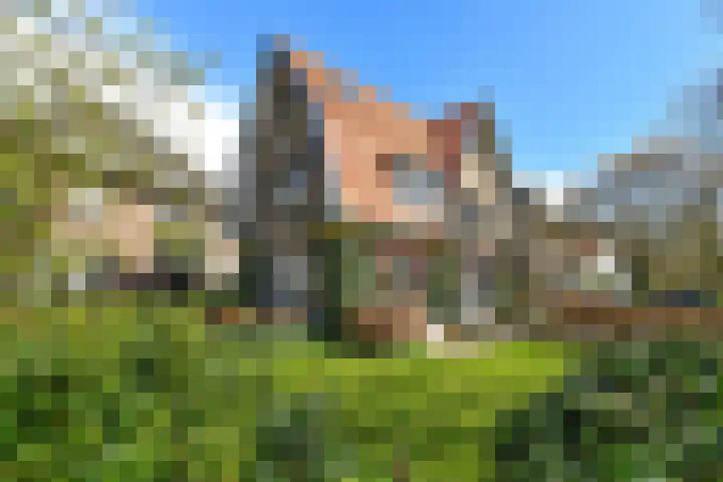 Wassenaerlaan 11 Velp (GE) thumbnail 6