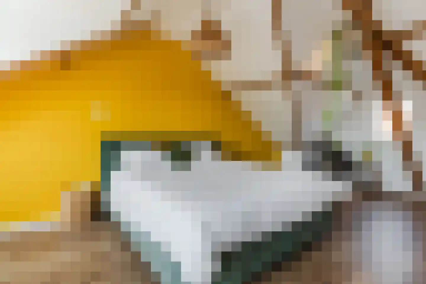 Wassenaerlaan 5 Tilburg thumbnail 26