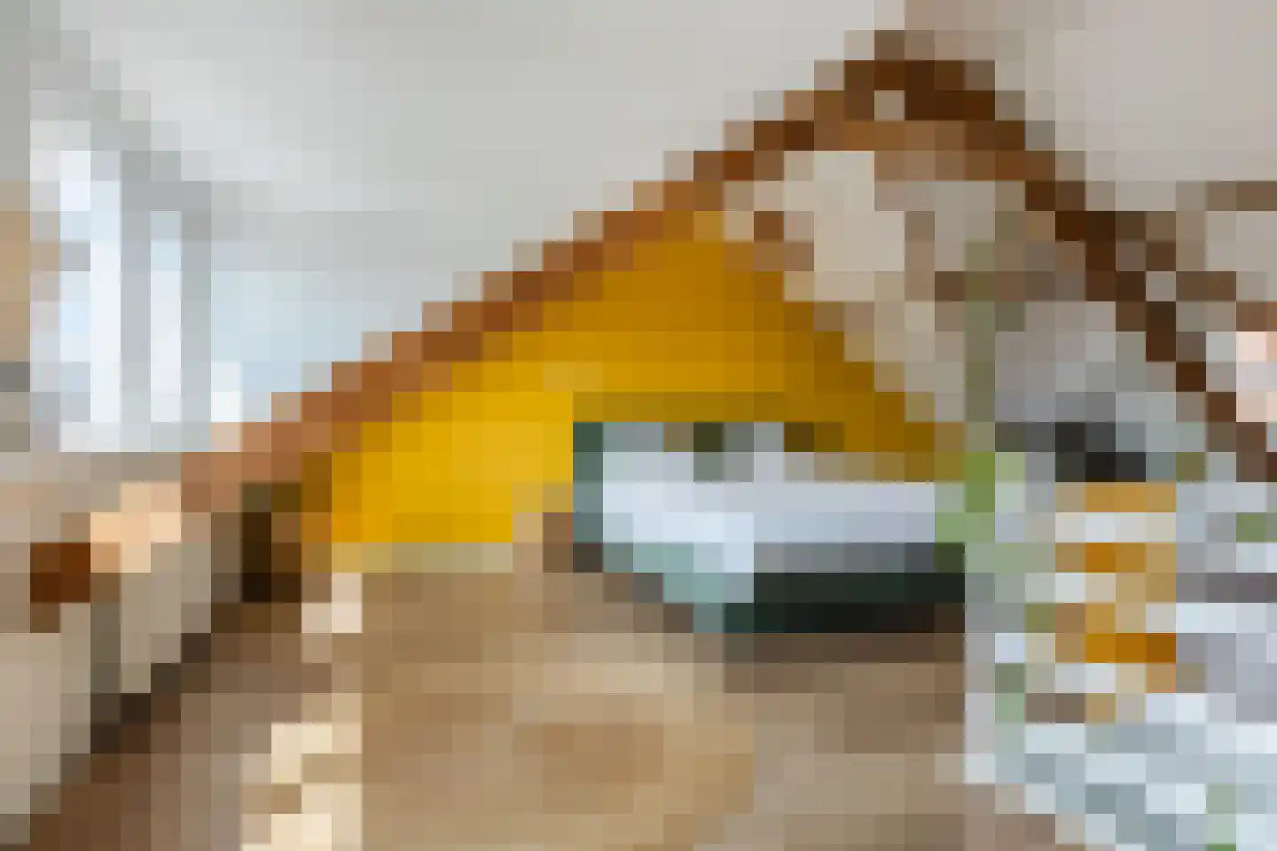 Wassenaerlaan 5 Tilburg thumbnail 28