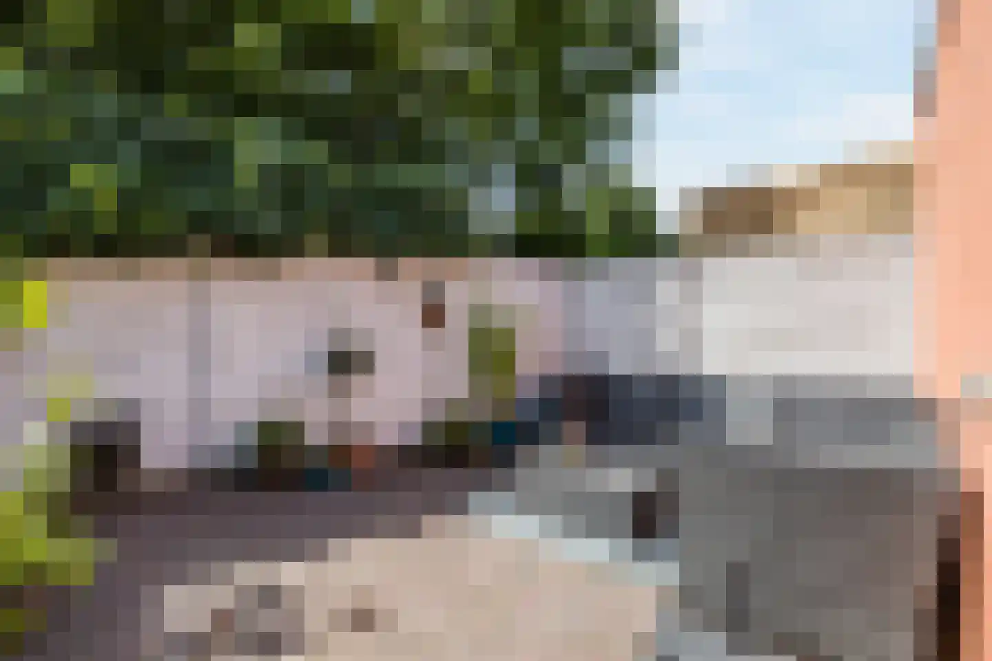 Wassenaerlaan 5 Tilburg thumbnail 31