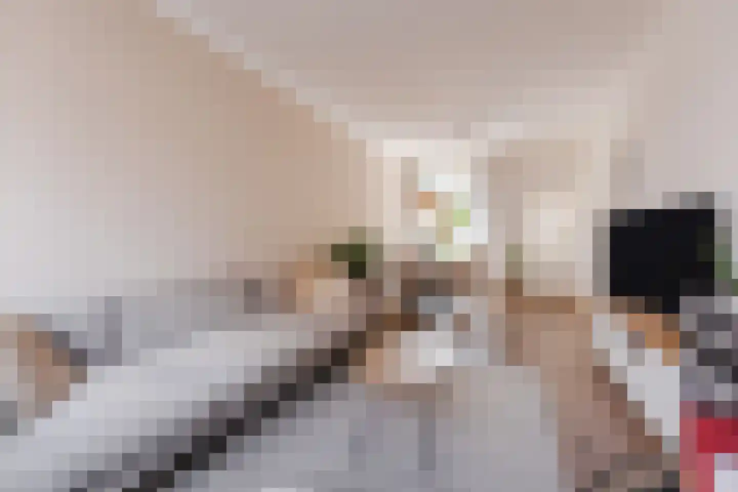 Wassenaerlaan 5 Tilburg thumbnail 7