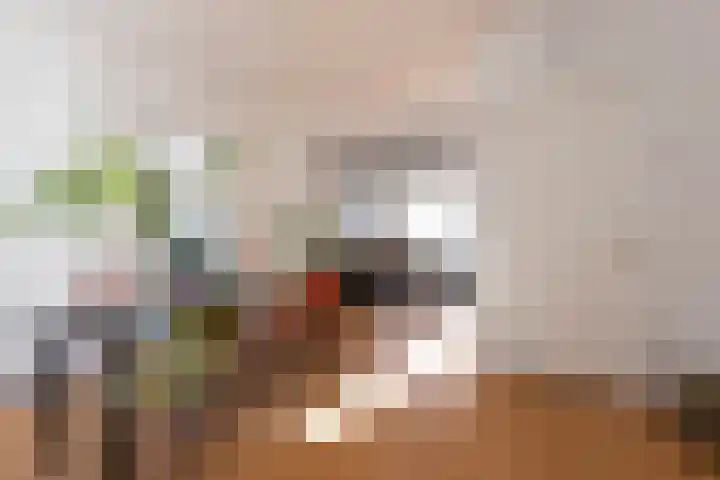 Wassenaerlaan 6 Tilburg thumbnail 11