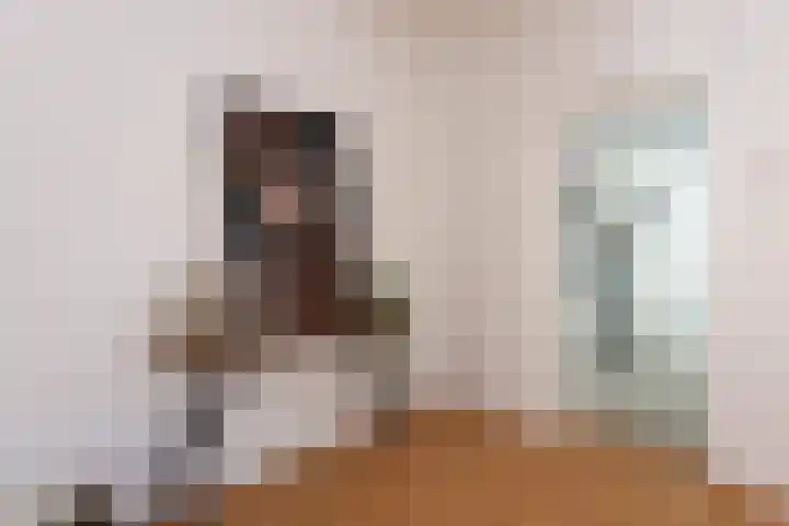 Wassenaerlaan 6 Tilburg thumbnail 13