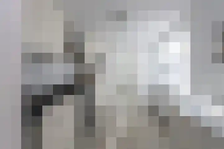 Wassenaerlaan 6 Tilburg thumbnail 14