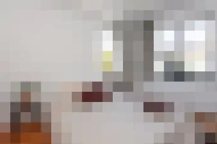 Wassenaerlaan 6 Tilburg thumbnail 20