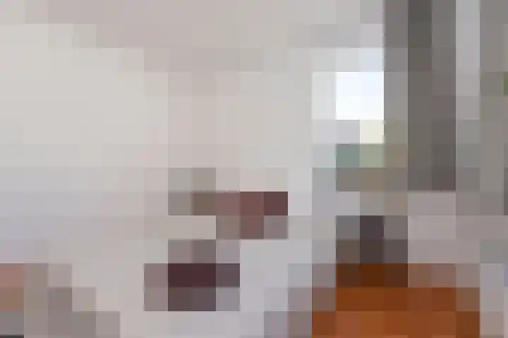 Wassenaerlaan 6 Tilburg thumbnail 21