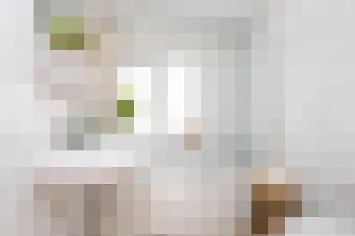 Wassenaerlaan 6 Tilburg thumbnail 27