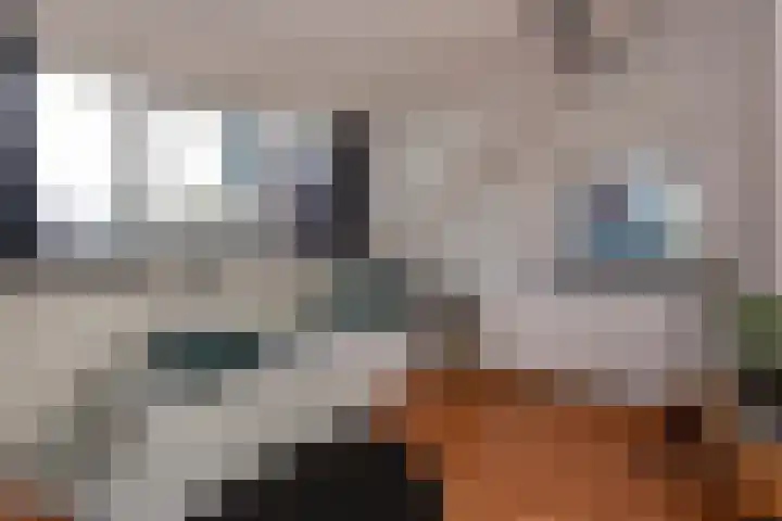 Wassenaerlaan 6 Tilburg thumbnail 28