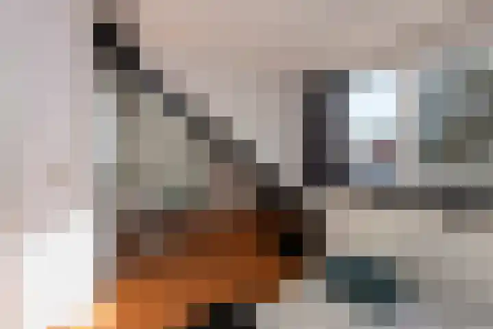 Wassenaerlaan 6 Tilburg thumbnail 29