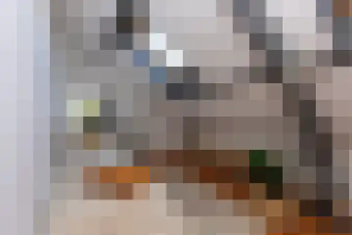 Wassenaerlaan 6 Tilburg thumbnail 30