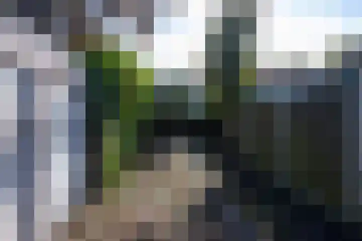 Wassenaerlaan 6 Tilburg thumbnail 35